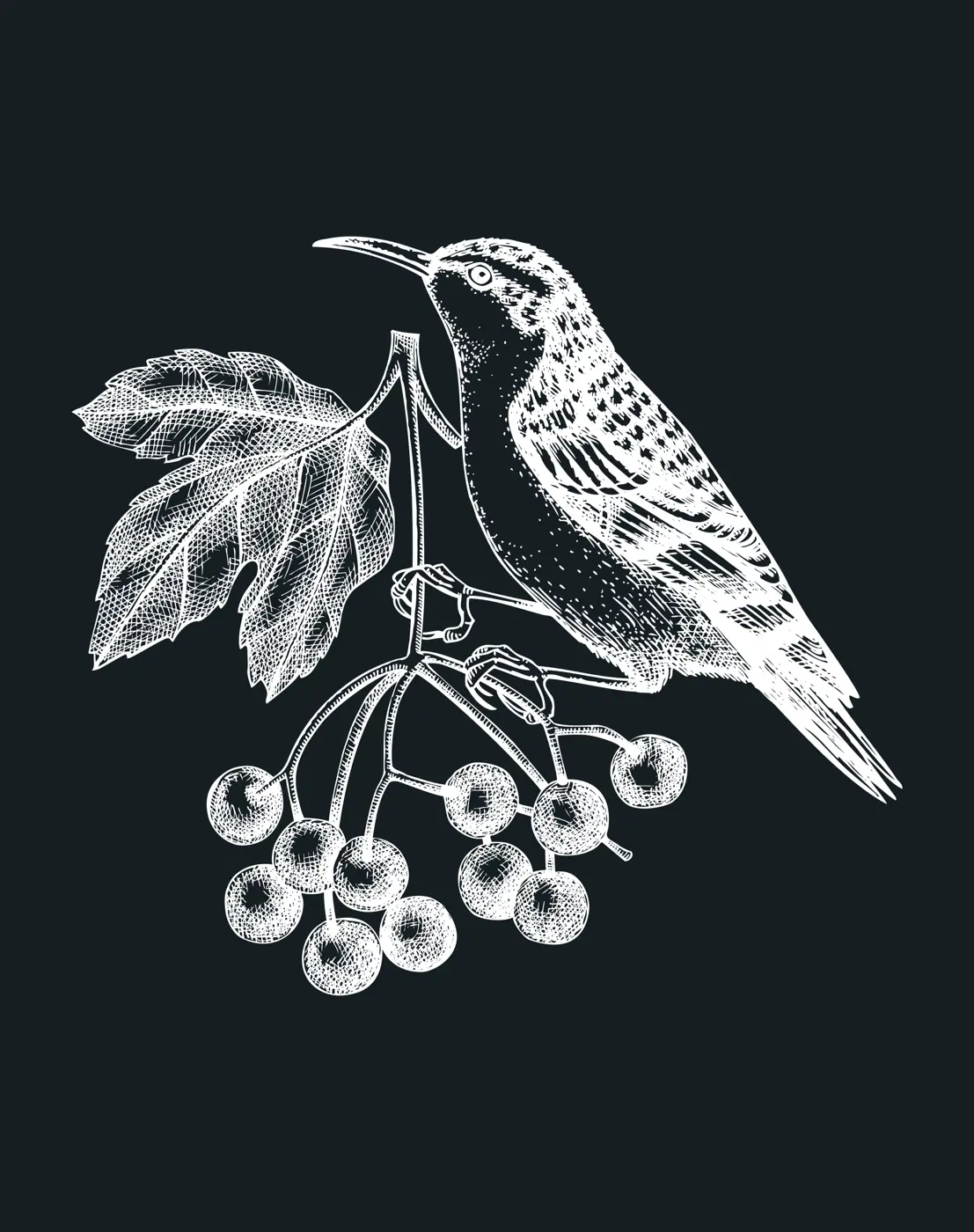 Hand-sketched bird with autumn flowers illustration on chalkboard. Fall design with birds, florals, geometric shapes, and abstract elements. Can be used for print, poster, wall art, social media Illustration